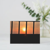 Carte Postale Soleil de prisonnier (Debout devant)