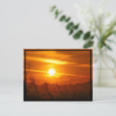 Carte Postale Soleil désert (Debout devant)