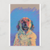 Carte Postale Soleil d'été (Devant)