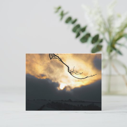 Carte Postale Soleil d'hiver (Debout devant)