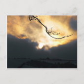 Carte Postale Soleil d'hiver (Devant)