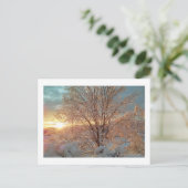 Carte Postale Soleil d'hiver (Debout devant)