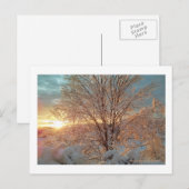 Carte Postale Soleil d'hiver (Devant / Derrière)