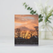 Carte Postale Soleil d'hiver (Debout devant)