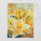 Carte Postale Soleil distillé (Devant)