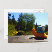 Carte Postale Soleil du soir (Devant / Derrière)