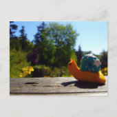 Carte Postale Soleil du soir (Devant)