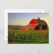 Carte Postale Soleil du soir dans une grange à Skagit à Washingt (Devant / Derrière)