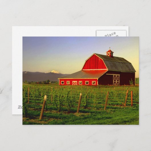 Carte Postale Soleil du soir dans une grange à Skagit à Washingt (Devant / Derrière)