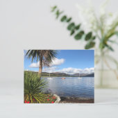 Carte Postale Soleil en Ecosse. Baie avec palmiers et yachts (Debout devant)