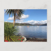 Carte Postale Soleil en Ecosse. Baie avec palmiers et yachts (Devant)