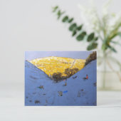 Carte Postale Soleil et neige 2007 (Debout devant)