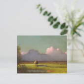 Carte Postale Soleil et ombre, les marais de Newbury (Debout devant)