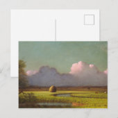 Carte Postale Soleil et ombre, les marais de Newbury (Devant / Derrière)