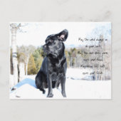 Carte Postale Soleil et vent - Devis de chien - Black Labrador (Devant)