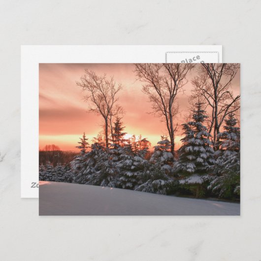 Carte Postale Soleil matinal d'hiver (Devant / Derrière)