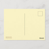 Carte Postale Soleil Orange Marigolds Fleurs de Jardin (Dos)