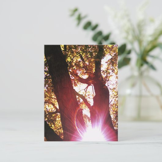 Carte Postale Soleil rouge (Debout devant)