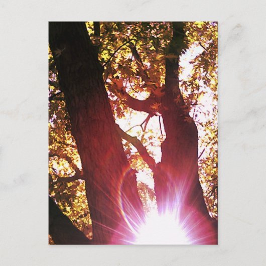 Carte Postale Soleil rouge (Devant)