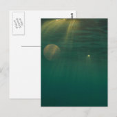 Carte Postale Soleil sous-marin (Devant / Derrière)