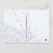 Carte Postale Soliste (Dos)