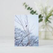 Carte Postale Soliste (Debout devant)