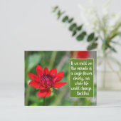 Carte Postale Solitaire Rouge Dahlia Fleur Wisley Motivation (Debout devant)
