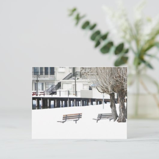 Carte Postale Solitude (Debout devant)