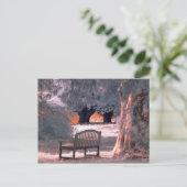 Carte Postale Solitude infrarouge (Debout devant)