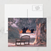 Carte Postale Solitude infrarouge (Devant / Derrière)