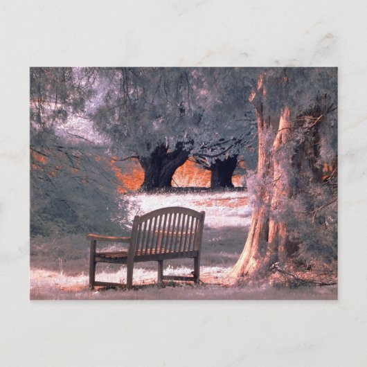 Carte Postale Solitude infrarouge (Devant)
