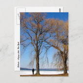 Carte Postale Solitude - Lac Cayuga (Devant / Derrière)