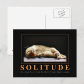 Carte Postale SOLITUDE Photographie Chat Anti-Motivationnel (Devant / Derrière)