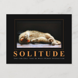 Carte Postale SOLITUDE Photographie Chat Anti-Motivationnel
