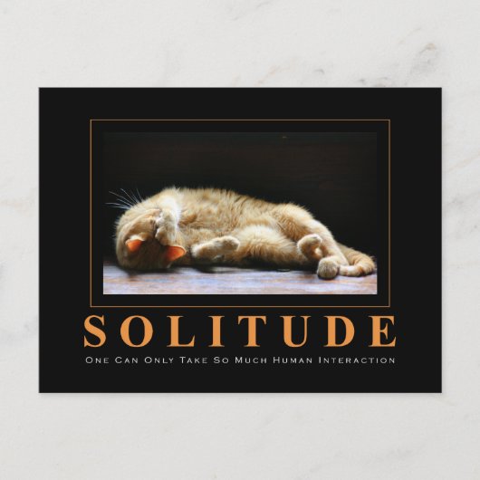 Carte Postale SOLITUDE Photographie Chat Anti-Motivationnel (Devant)