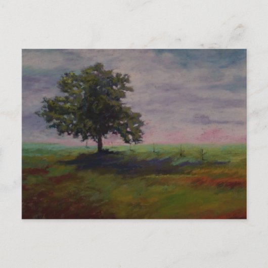 Carte Postale solo (Devant)