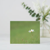 Carte Postale Solo (Debout devant)