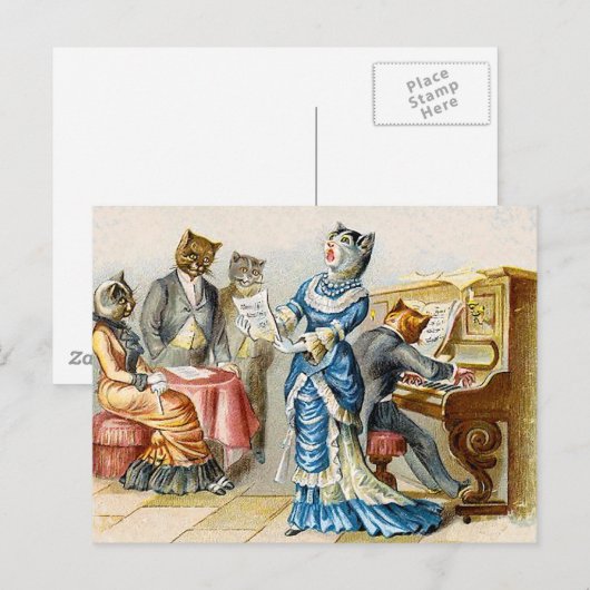 Carte Postale Solo (Devant / Derrière)