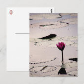 Carte Postale Solo-tus | Cambodge (Devant / Derrière)