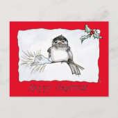 Carte Postale Solstice Chickadee (Devant)