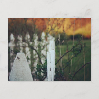 Carte Postale Solstice d'été