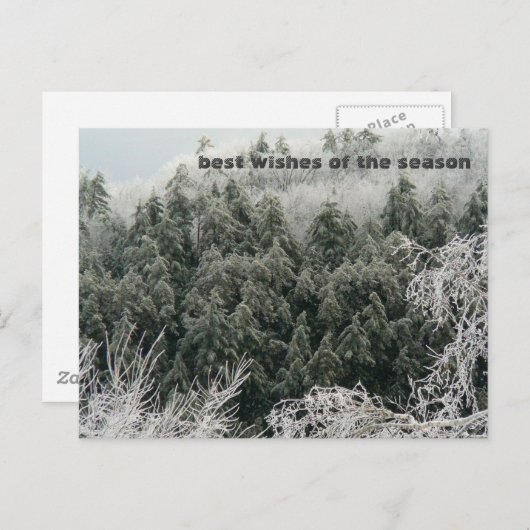 Carte Postale Solstice d'hiver (Devant / Derrière)