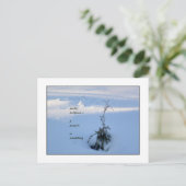 Carte postale Solstice d'hiver (Debout devant)