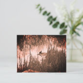 Carte Postale Solstice d'hiver (Debout devant)