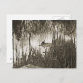 Carte Postale Solstice d'hiver (Devant / Derrière)