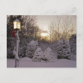 Carte Postale Solstice d'hiver (Devant)