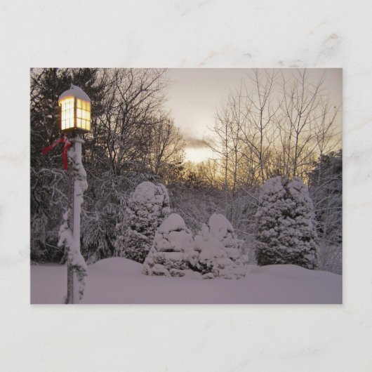 Carte Postale Solstice d'hiver (Devant)