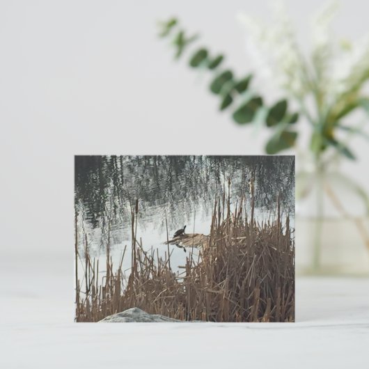 Carte Postale Solstice d'hiver (Debout devant)