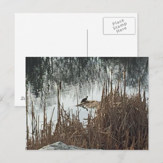 Carte Postale Solstice d'hiver (Devant / Derrière)