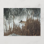 Carte Postale Solstice d'hiver (Devant)